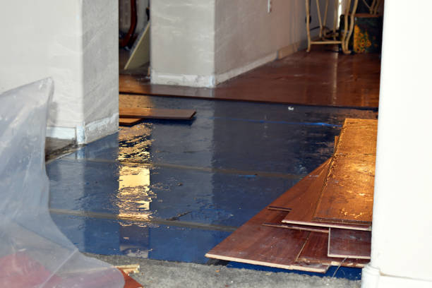 Professional Basement Flooding technician working in Grain Valley, MO